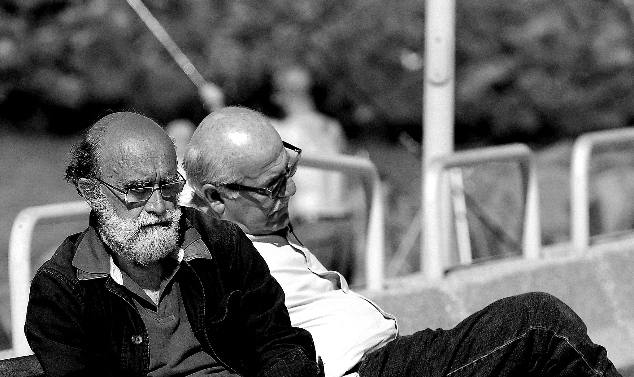Nikon D60 sample photo. The sleepers photography