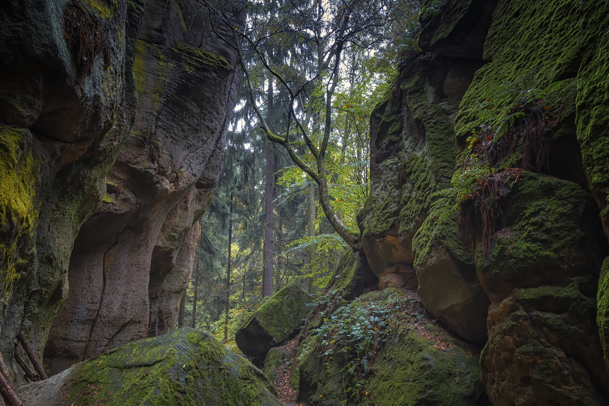Pentax smc DA 16-45mm F4 ED AL sample photo. Prachovské skály photography