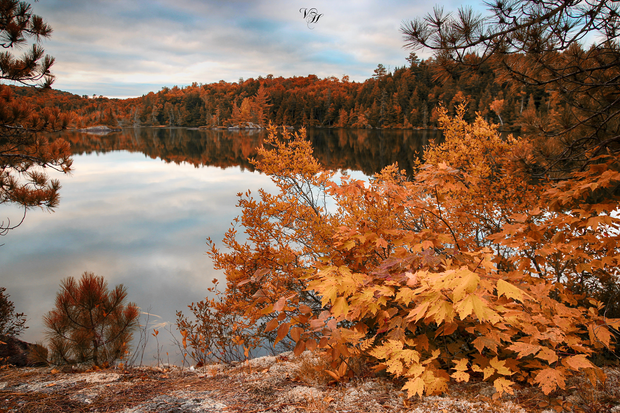 Sigma 17-50mm f/2.8 OS HSM sample photo. Automne photography