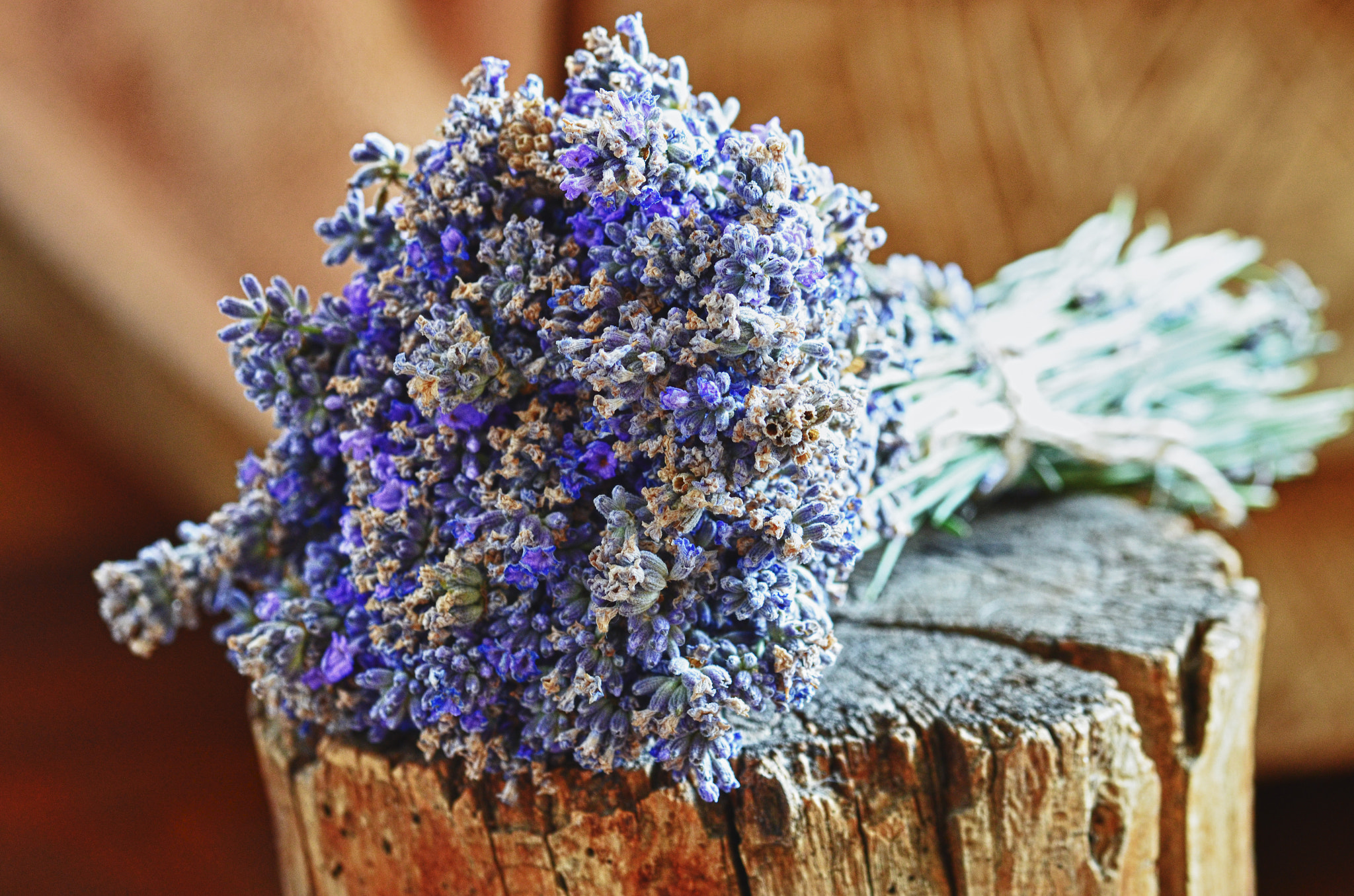 Sigma 105mm F2.8 EX DG OS HSM sample photo. Lavender....  photography