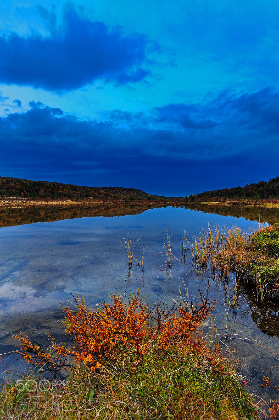 Canon EF 16-35mm F4L IS USM sample photo. Blue hour at furutjønn photography