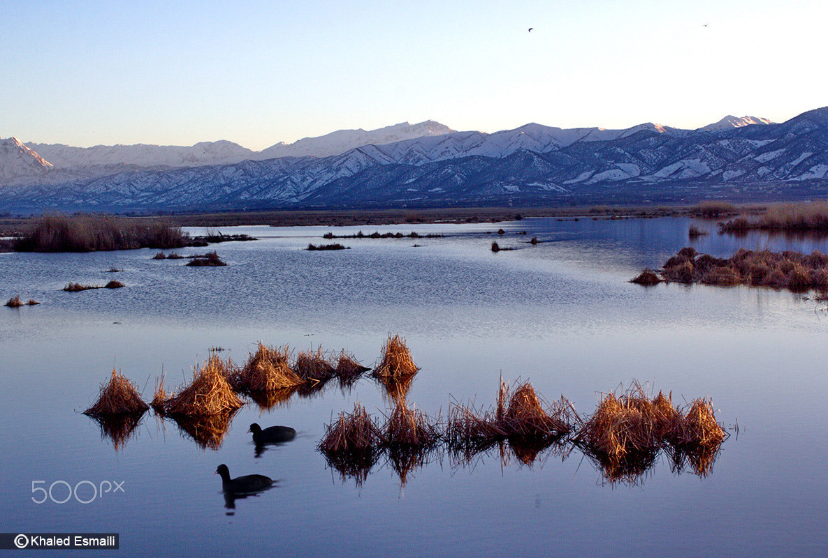 Canon EF-S 18-55mm F3.5-5.6 III sample photo. Zrevar lake photography