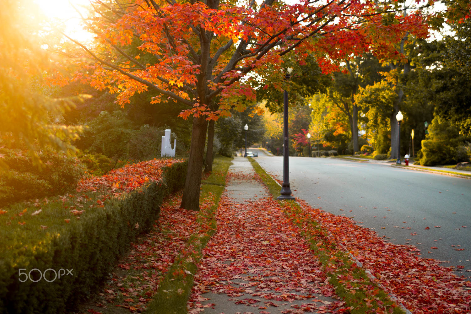 Canon EOS 7D + Canon EF 35mm F1.4L USM sample photo. Fall photography