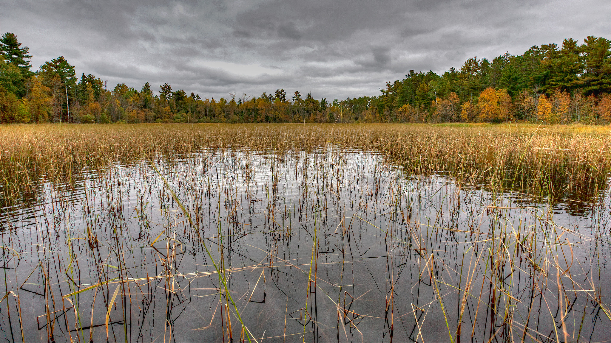 Canon EF 16-35mm F2.8L II USM sample photo. Minnesota boundary waters canoe area wilderness photography