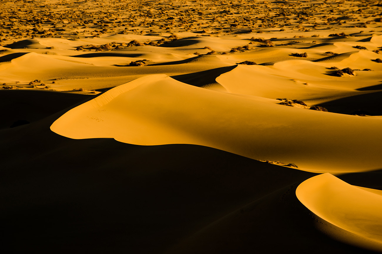 Nikon D600 sample photo. Early morning light on sand dunes photography