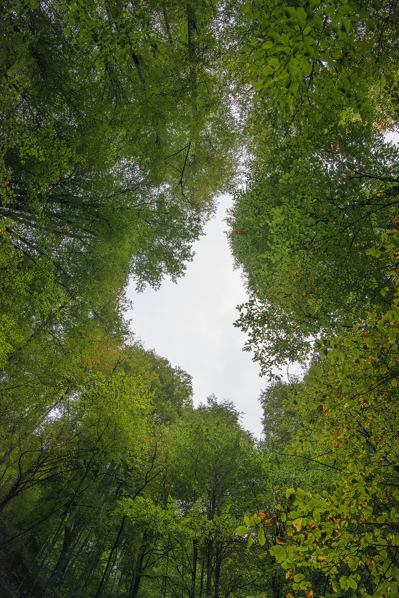 Tokina AT-X 16-28mm F2.8 Pro FX sample photo. ... photography