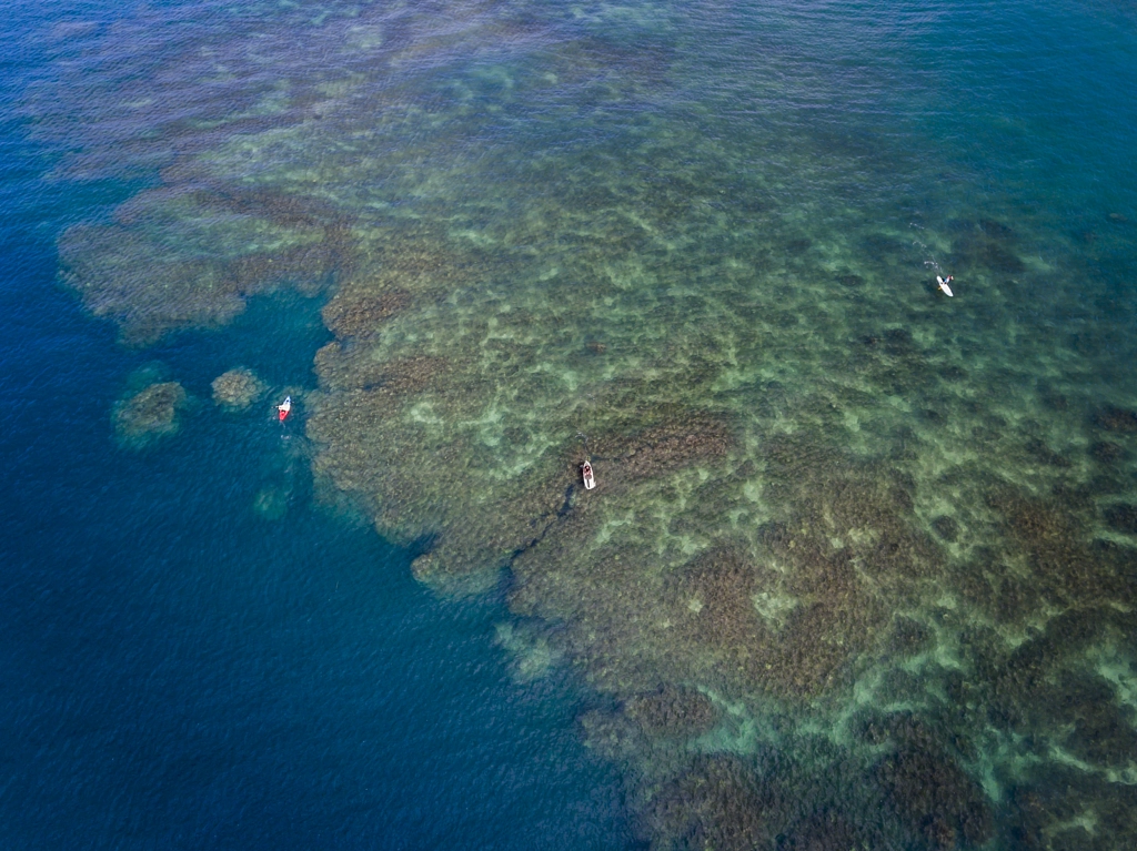 Exploring the Reef by Kelly Headrick on 500px.com