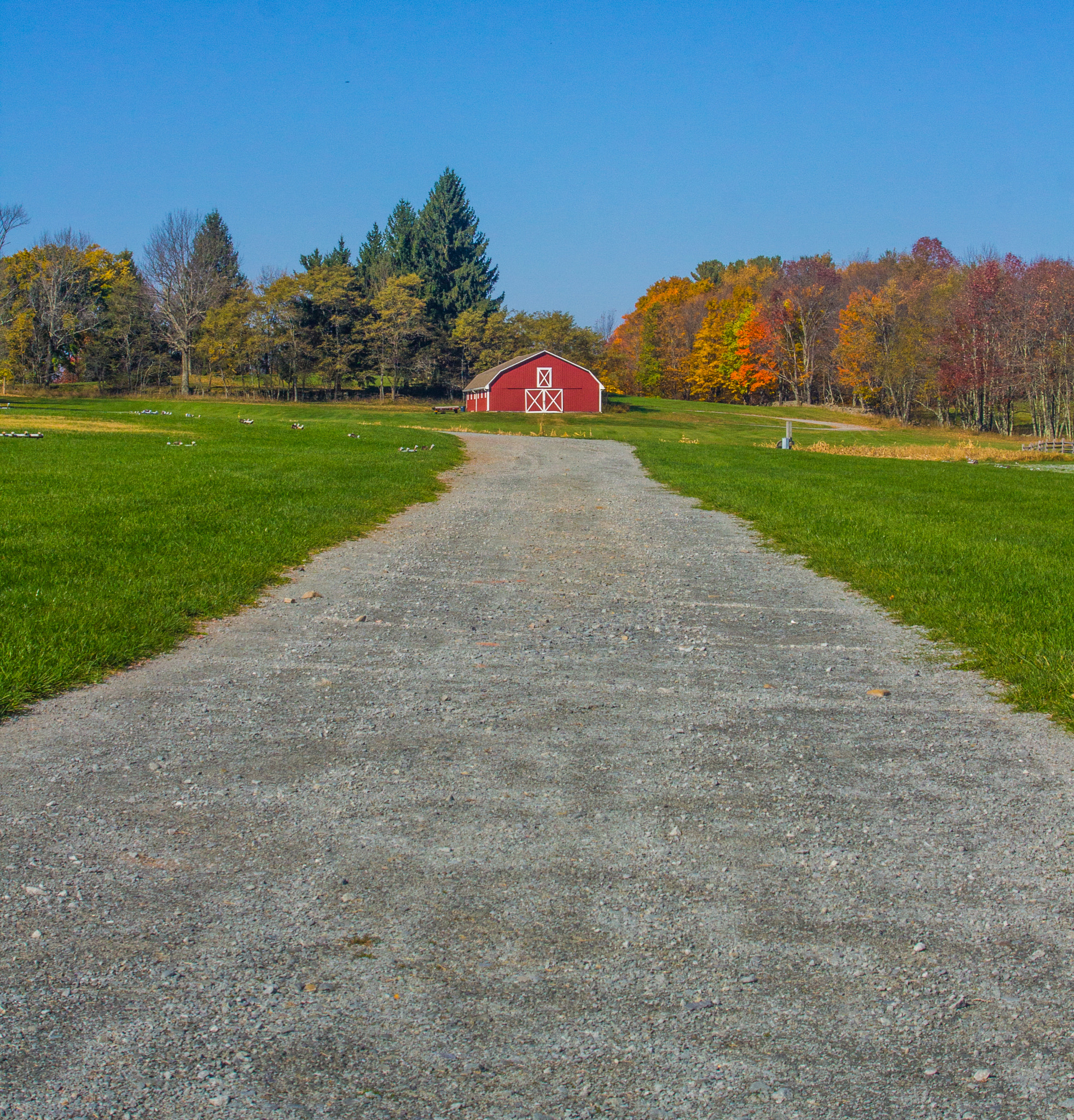 Canon EOS 550D (EOS Rebel T2i / EOS Kiss X4) sample photo. Drive to the barn photography