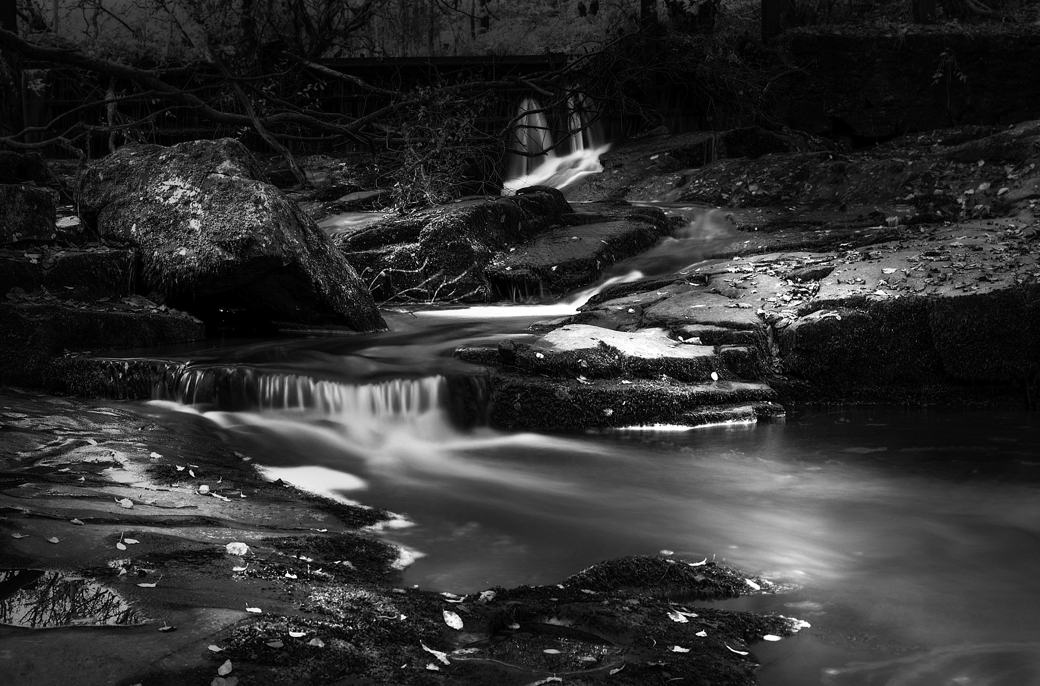 Sigma 17-70mm F2.8-4 DC Macro OS HSM sample photo. The silent stream photography