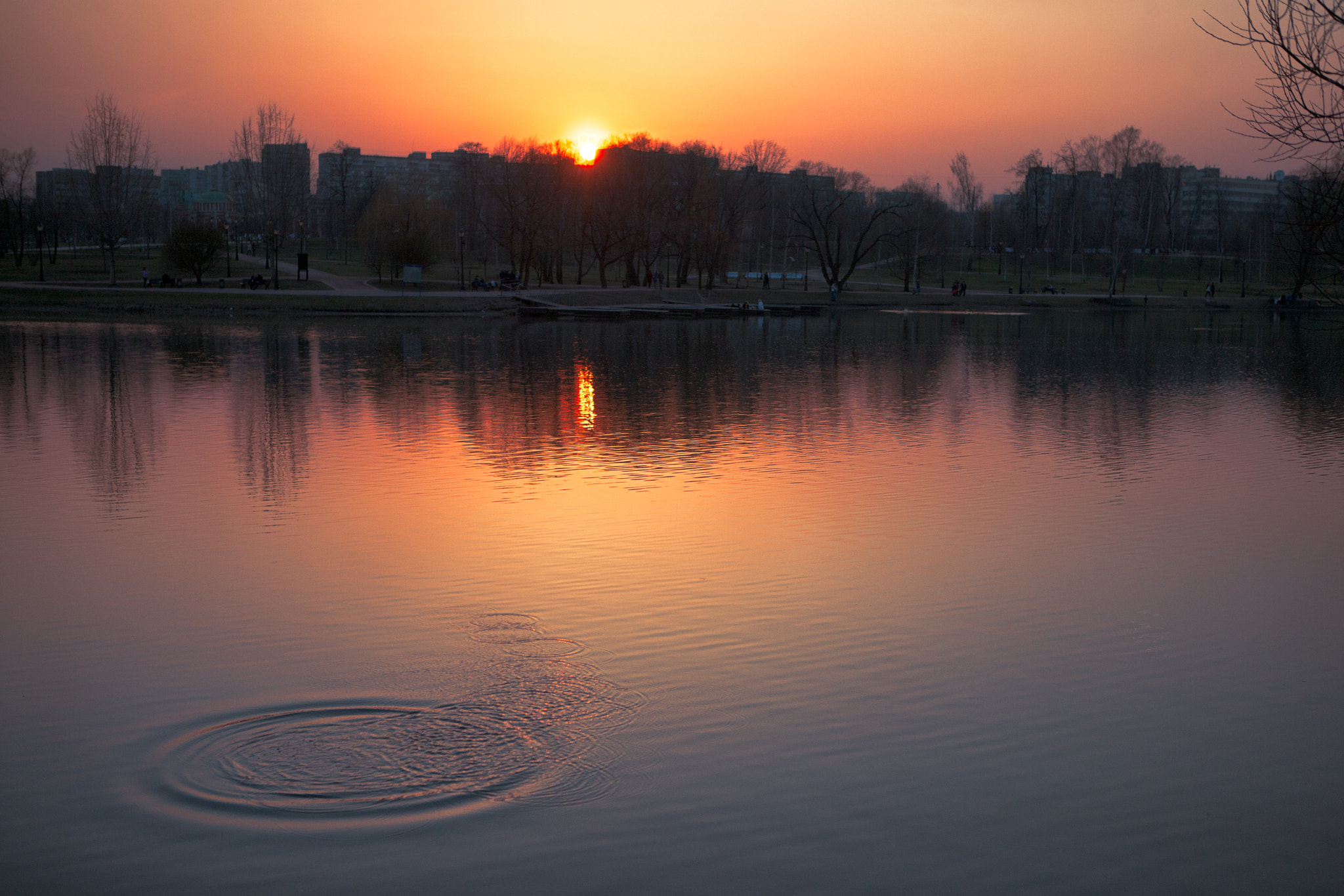 Canon EOS-1Ds Mark III sample photo. Evening near tsaritsyno pond photography