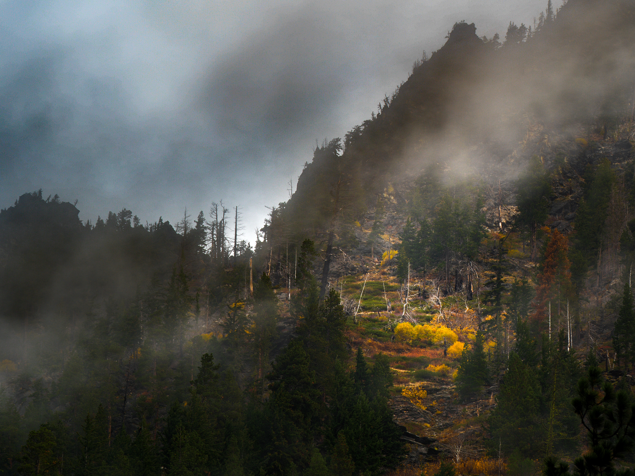 Panasonic Lumix G X Vario 35-100mm F2.8 OIS sample photo. Wenatchee forest hillside photography