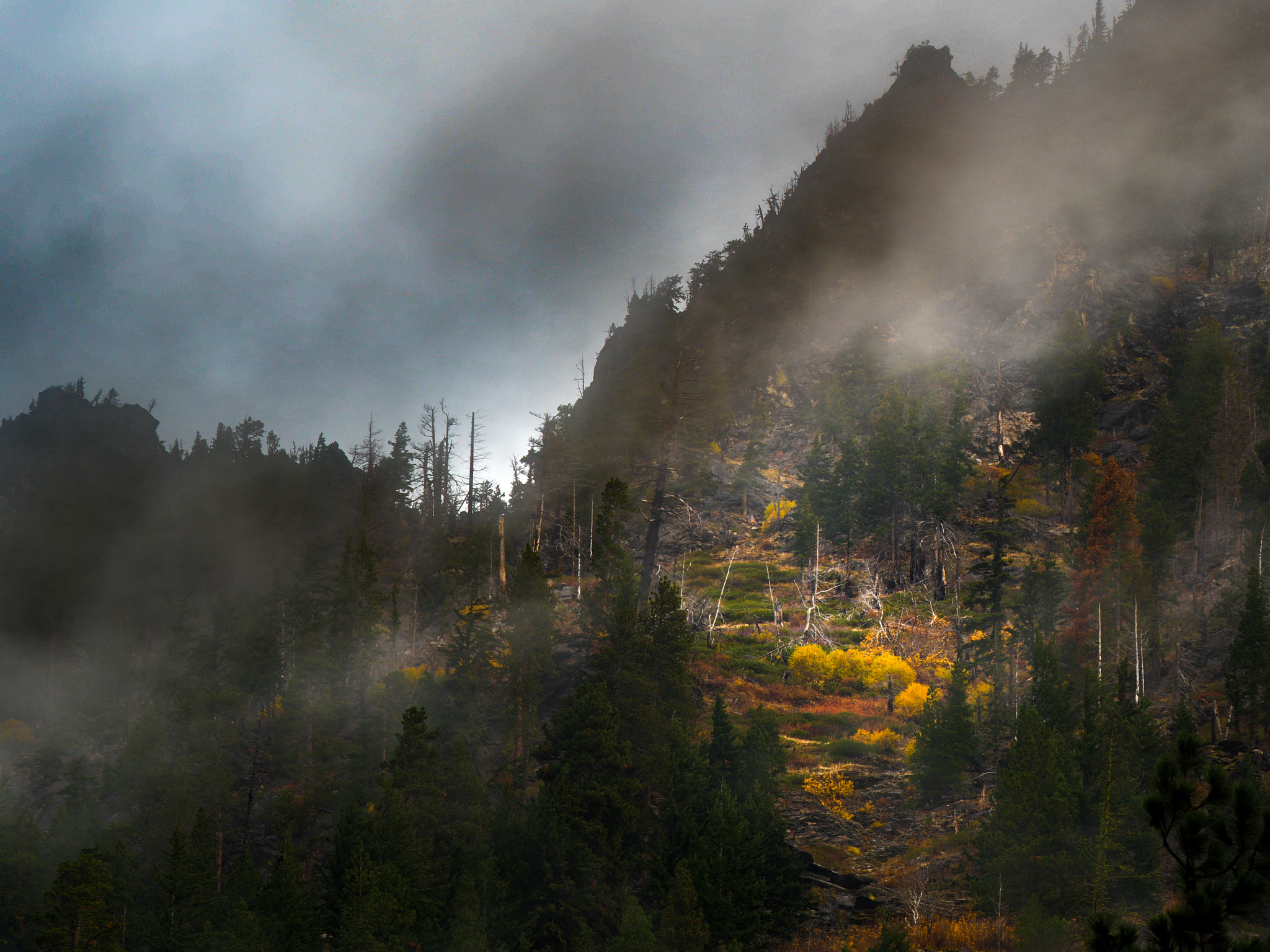 Olympus OM-D E-M5 II + Panasonic Lumix G X Vario 35-100mm F2.8 OIS sample photo. Wenatchee forest hillside photography