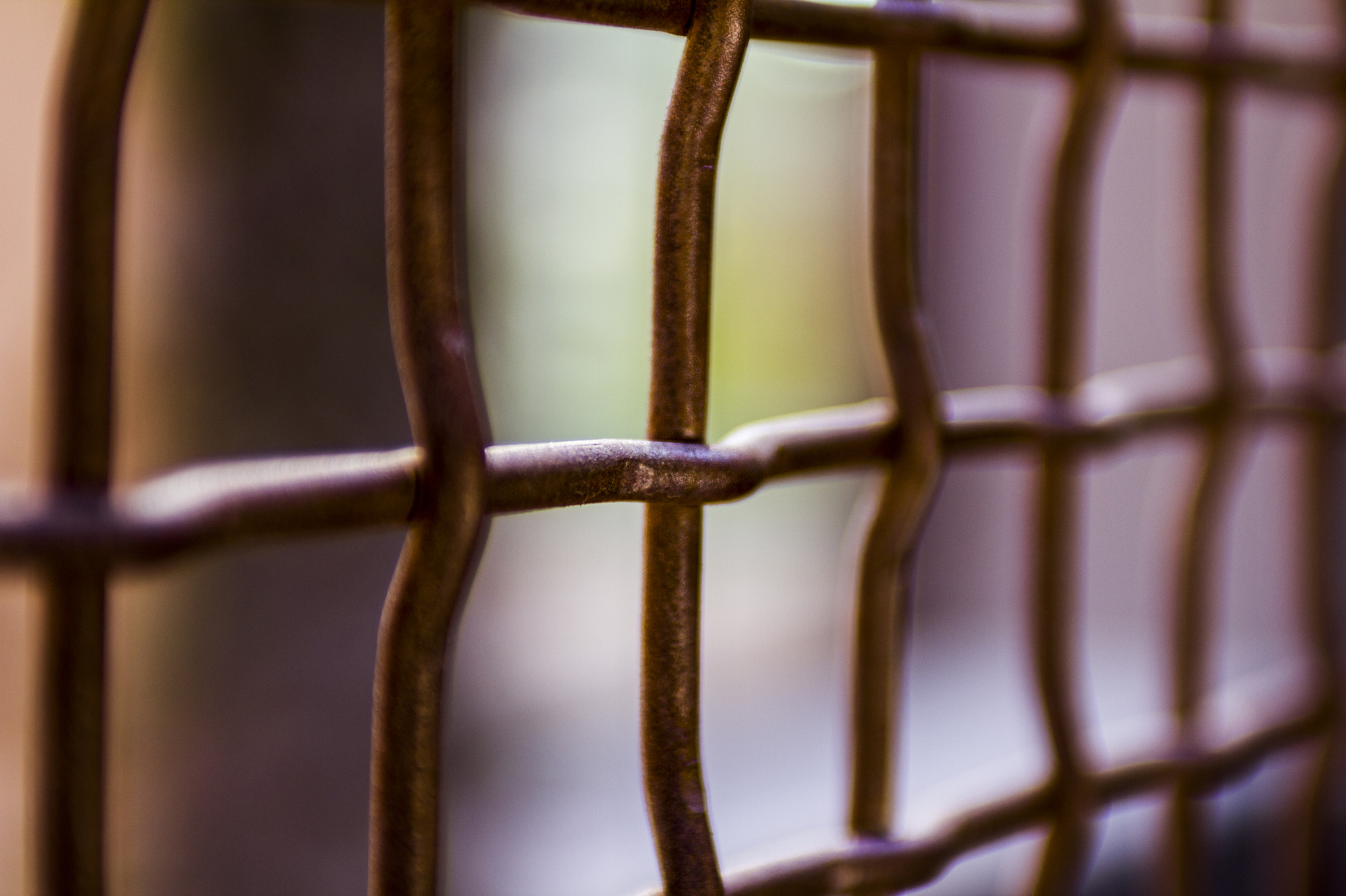 EF28-70mm f/2.8L USM sample photo. Mesh fence photography