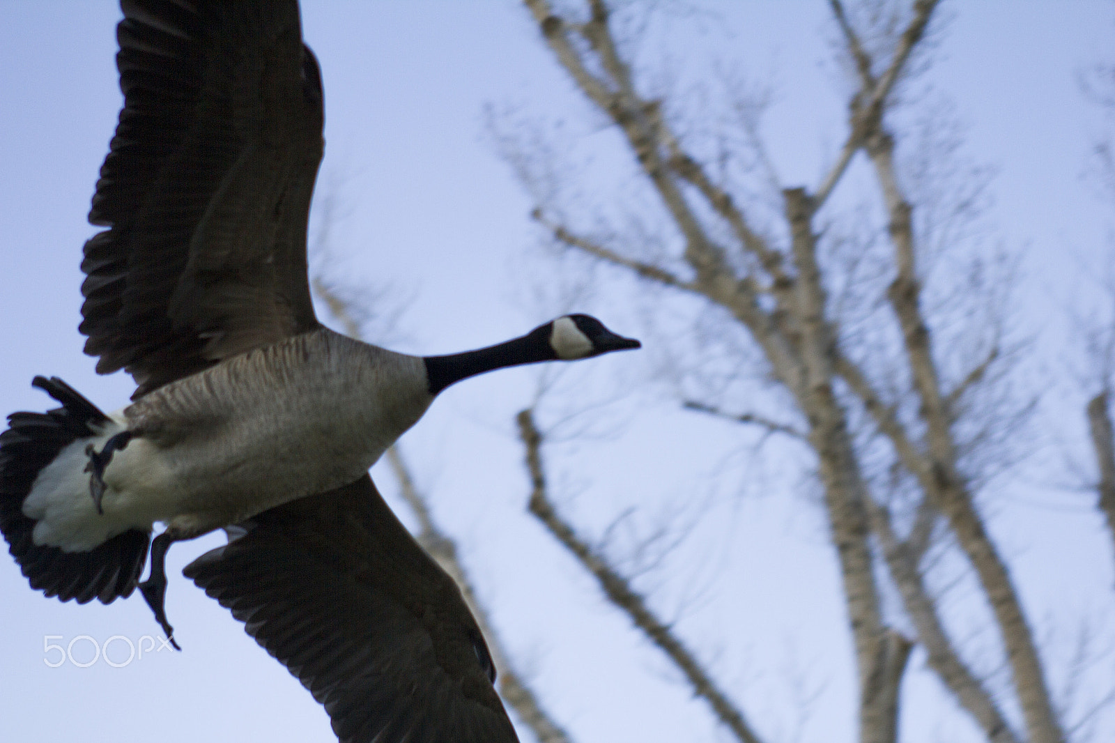 EF28-70mm f/2.8L USM sample photo. Lucky shot photography