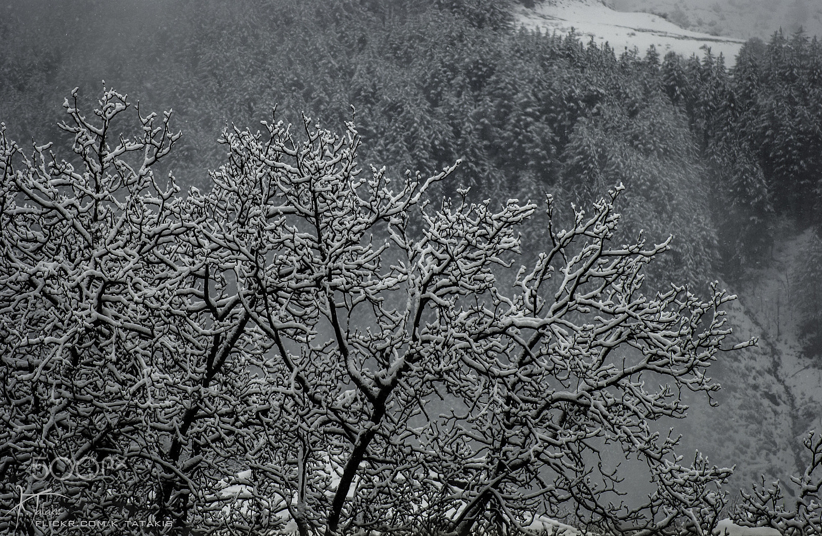Nikon D80 sample photo. Wired photography