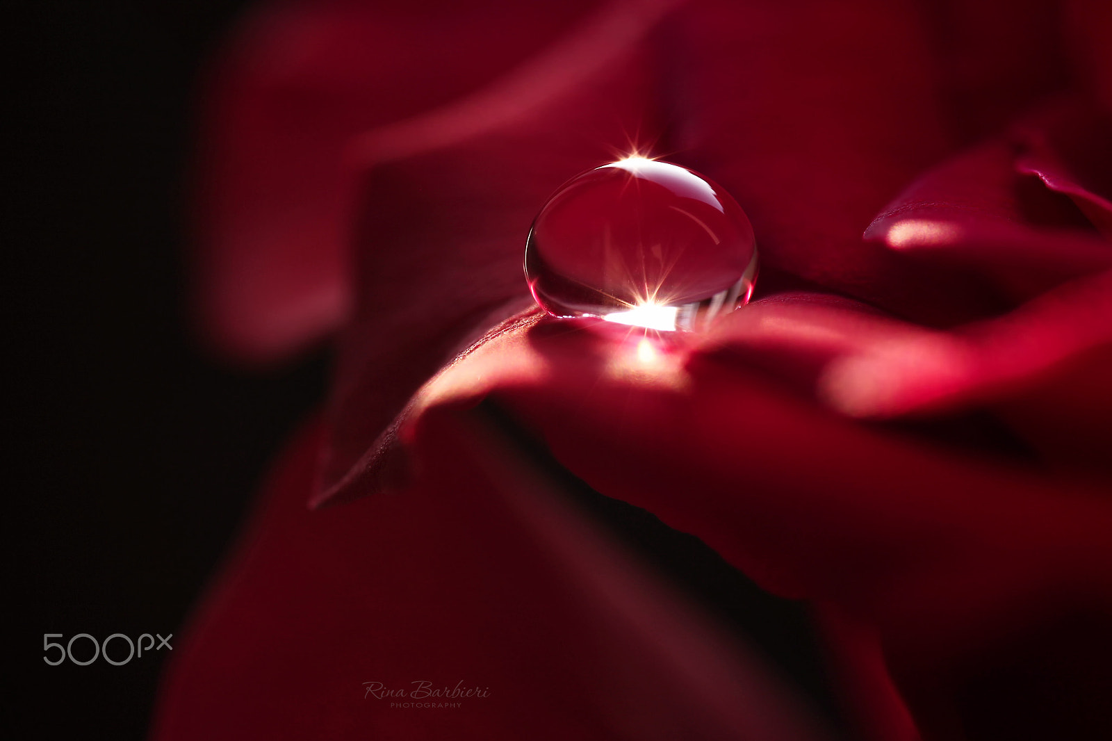 Sigma 105mm F2.8 EX DG OS HSM sample photo. Light of soul photography