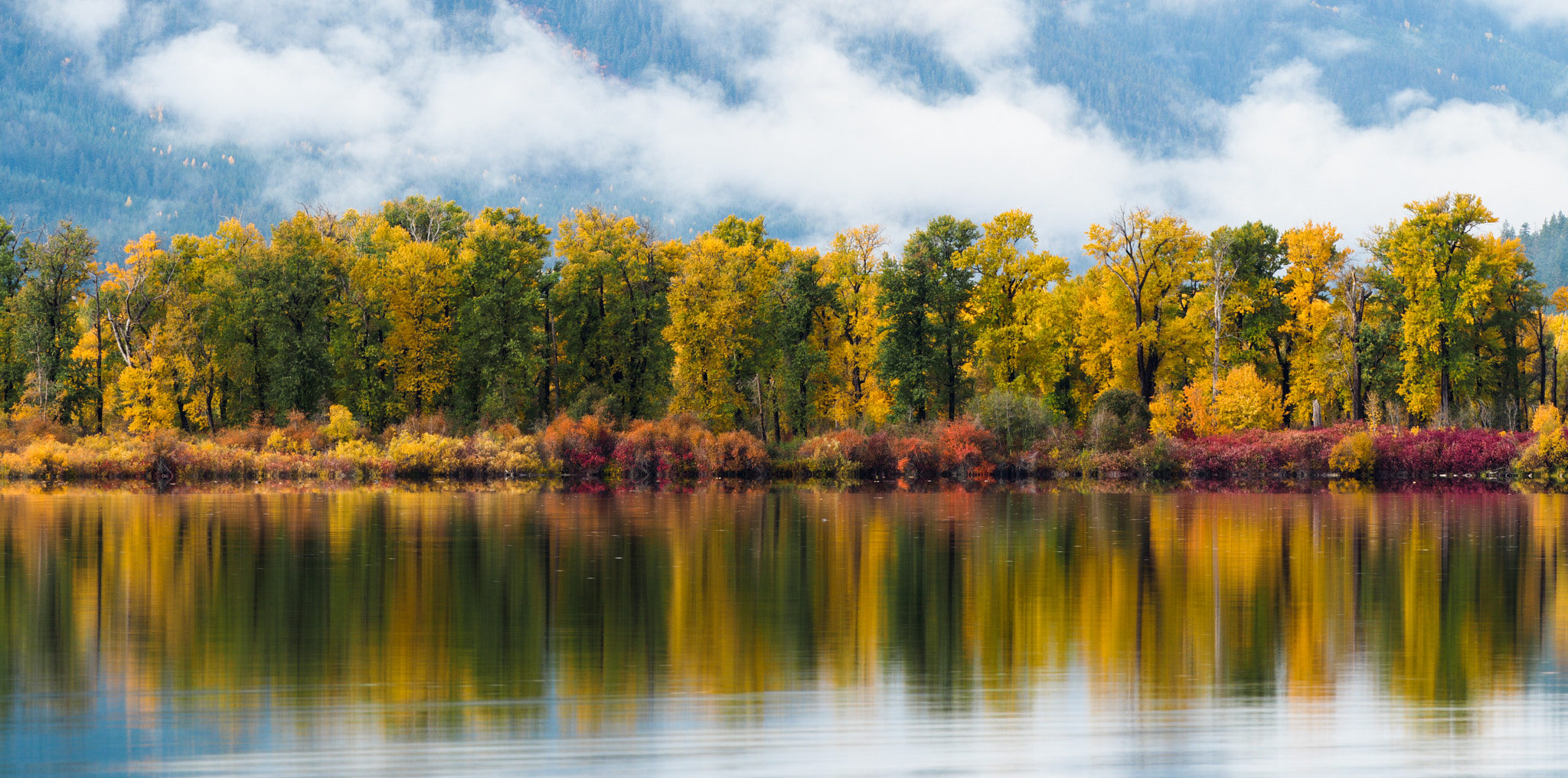 Panasonic Lumix G X Vario 35-100mm F2.8 OIS sample photo. Autumn relfections photography