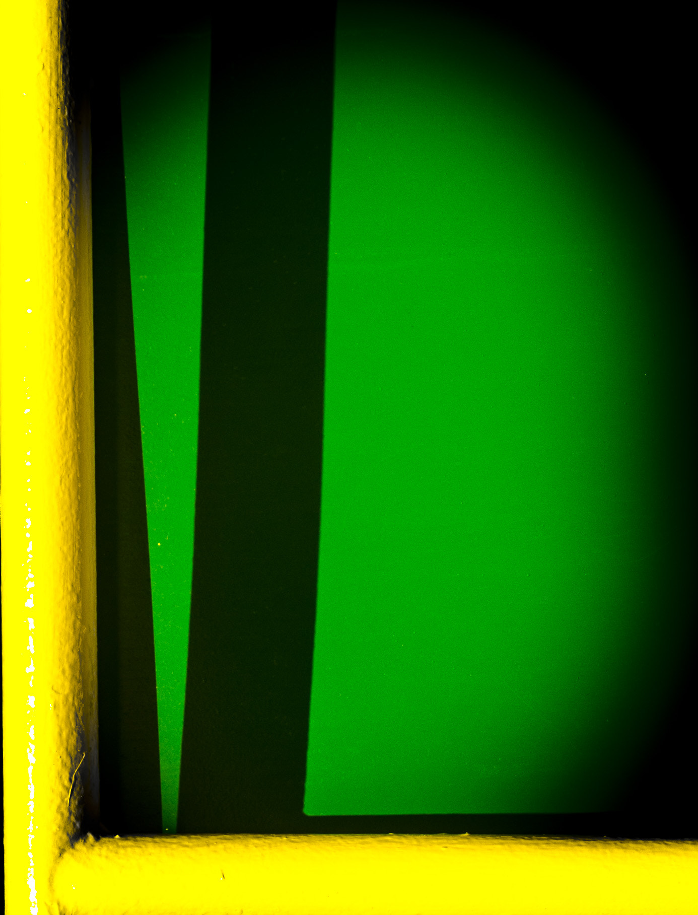 Nikon D7000 + Tamron AF 28-75mm F2.8 XR Di LD Aspherical (IF) sample photo. Yellow green photography