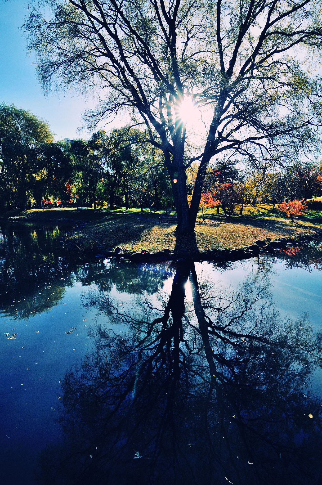 Nikon D300S sample photo. Parallel world photography