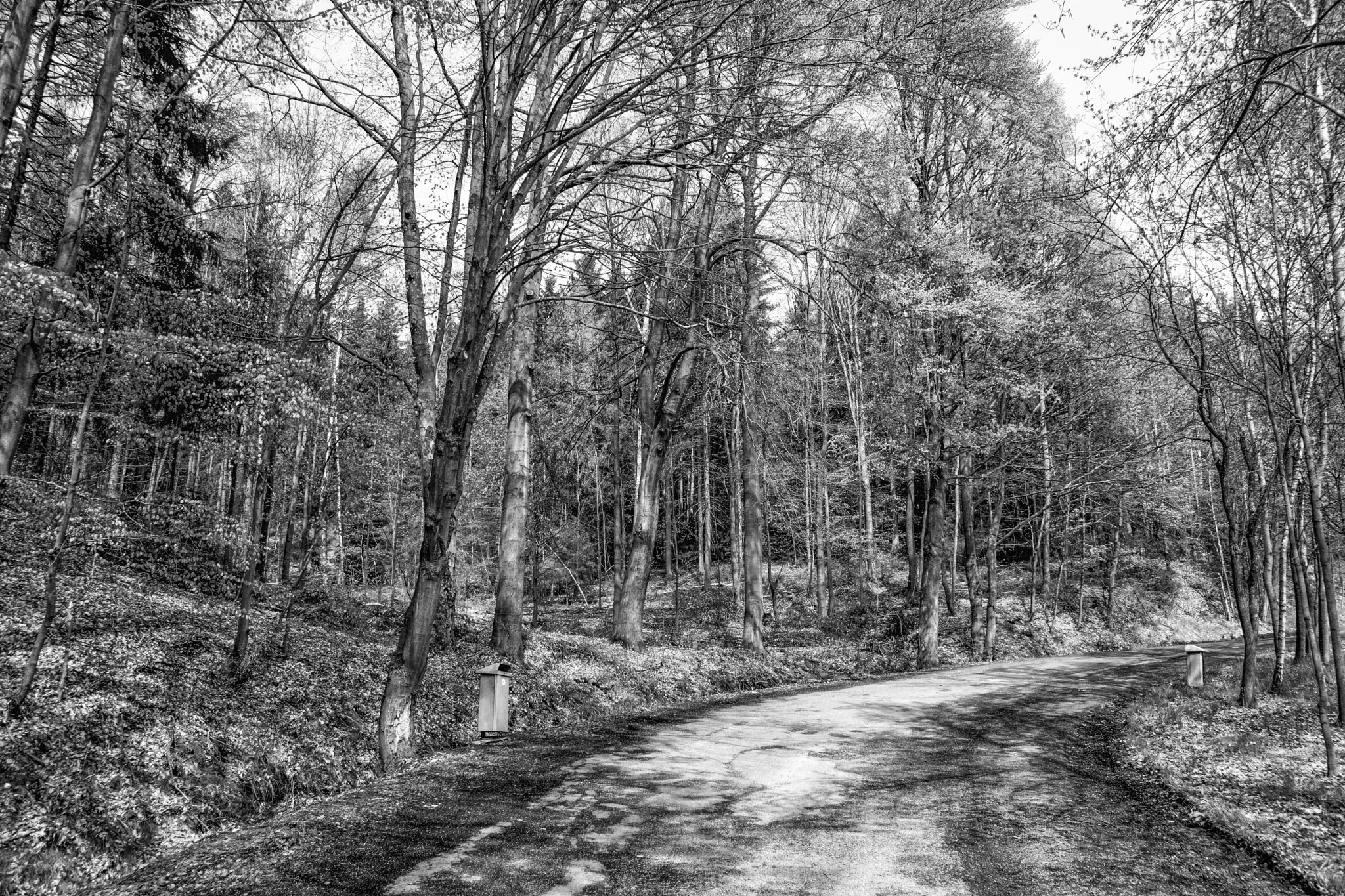 Sony DT 16-105mm F3.5-5.6 sample photo. Markneukirchen_sachsen/ germany photography