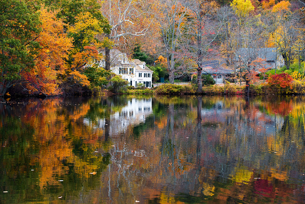 Nikon D600 sample photo. Autumn in new york photography