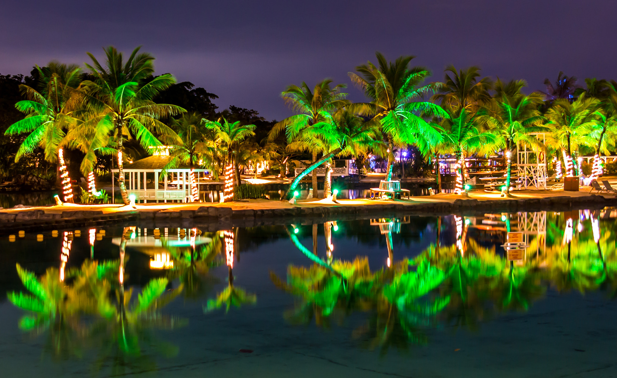 Samsung NX300M + Samsung NX 18-55mm F3.5-5.6 OIS sample photo. Night palms photography