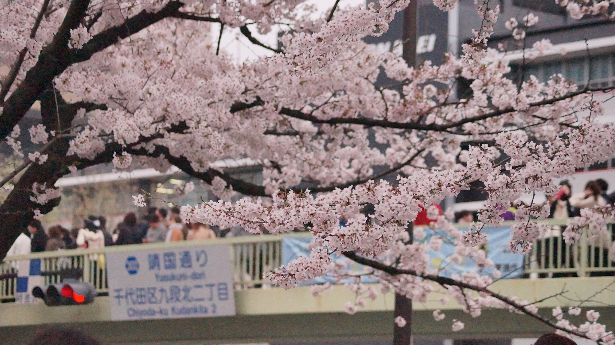 Sony DT 55-200mm F4-5.6 SAM sample photo. Dsc photography