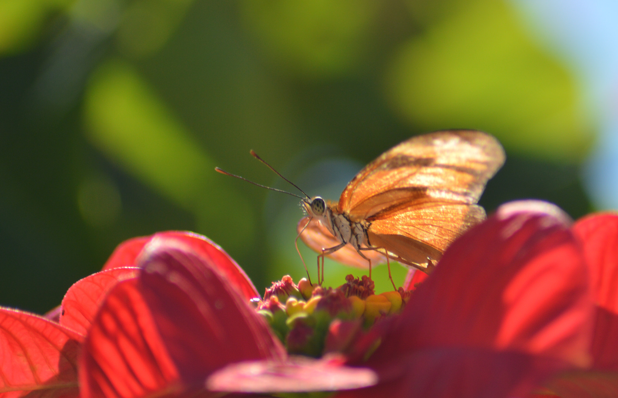 Nikon AF Nikkor 70-300mm F4-5.6G sample photo. Are you? photography