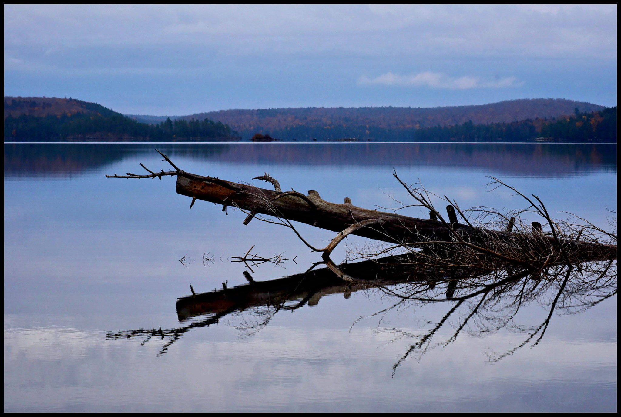 Nikon D750 + AF Zoom-Nikkor 70-300mm f/4-5.6D ED sample photo. Fallen photography