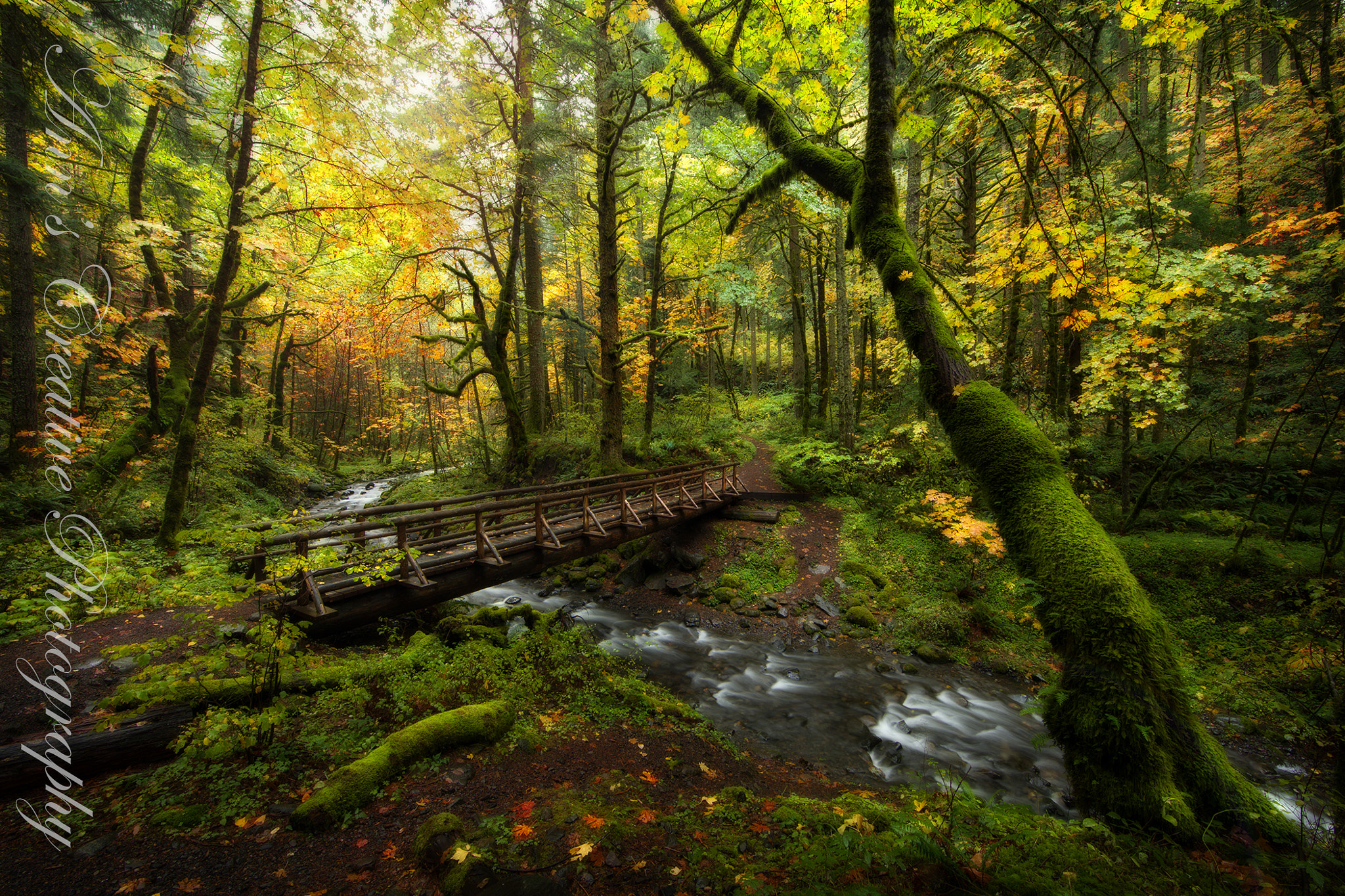 Canon EF 14mm F2.8L II USM sample photo. Gorton creek 3 photography