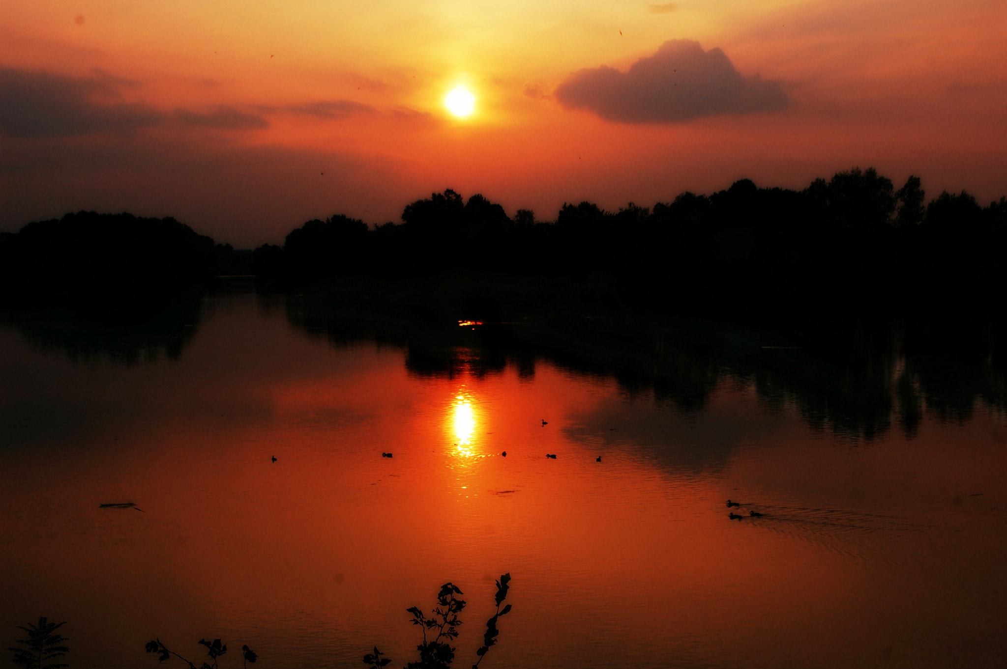 Nikon D40 sample photo. Sunset photography