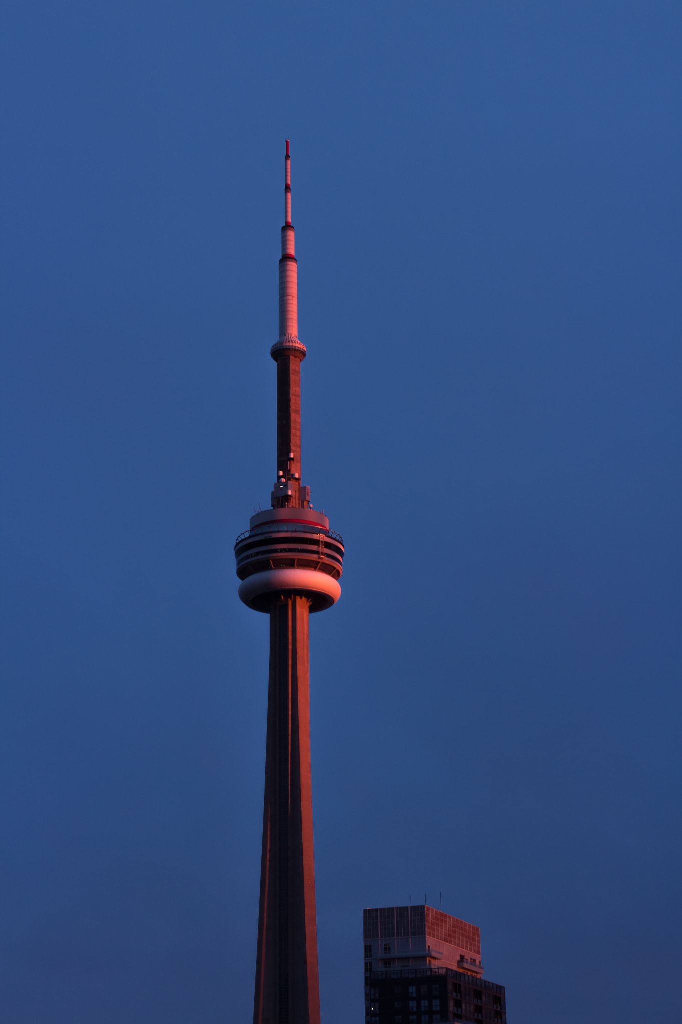 Canon EOS 600D (Rebel EOS T3i / EOS Kiss X5) + Canon EF 40mm F2.8 STM sample photo. Cn tower x magic hour photography
