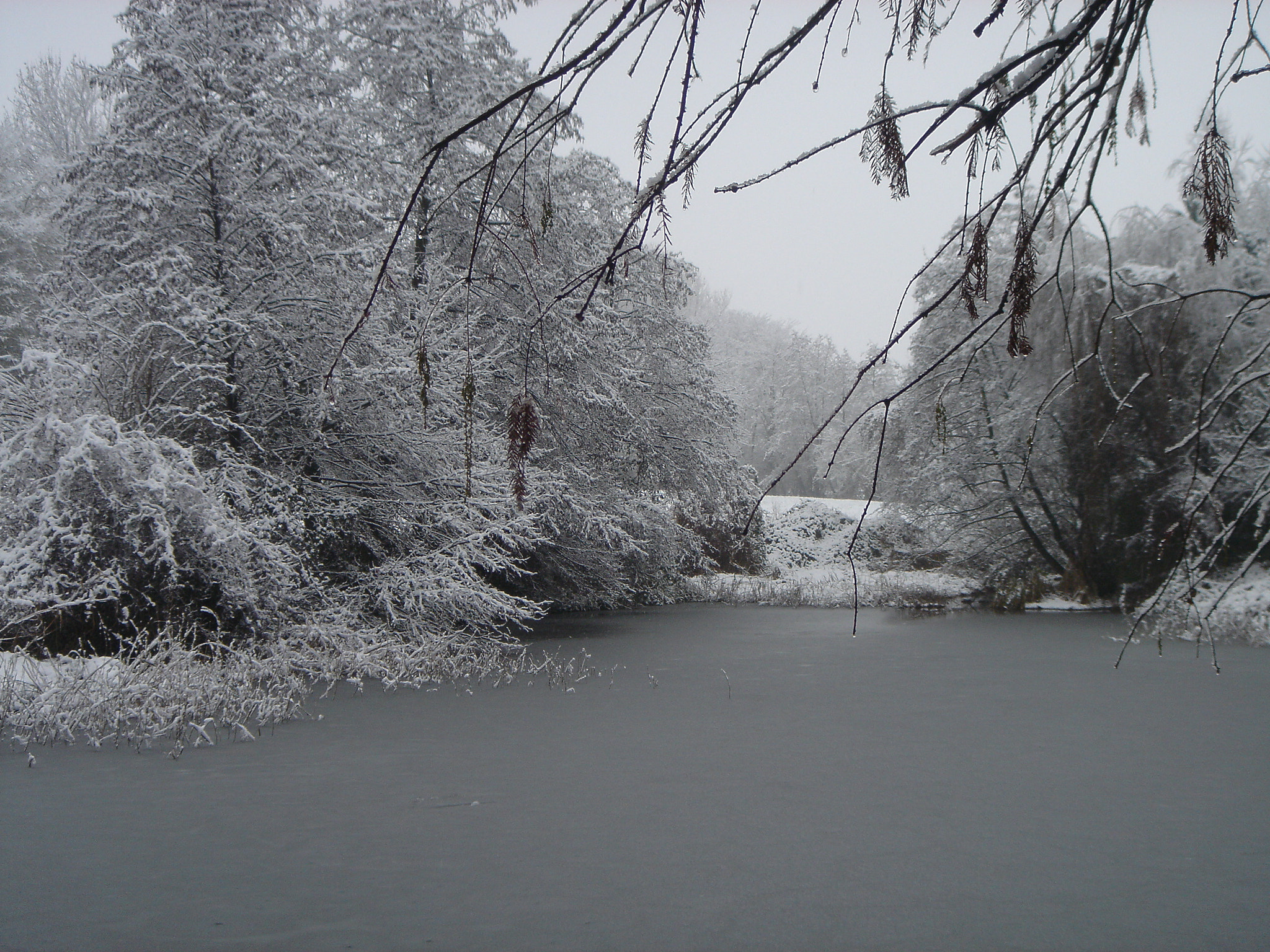 Sony DSC-T1 sample photo. Inverno photography