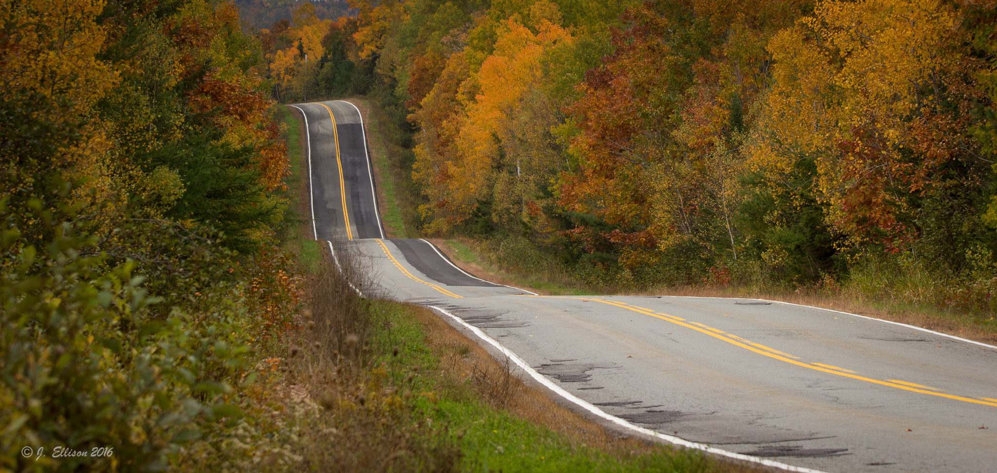 Sigma 150-600mm F5-6.3 DG OS HSM | C sample photo. Autumn roads photography
