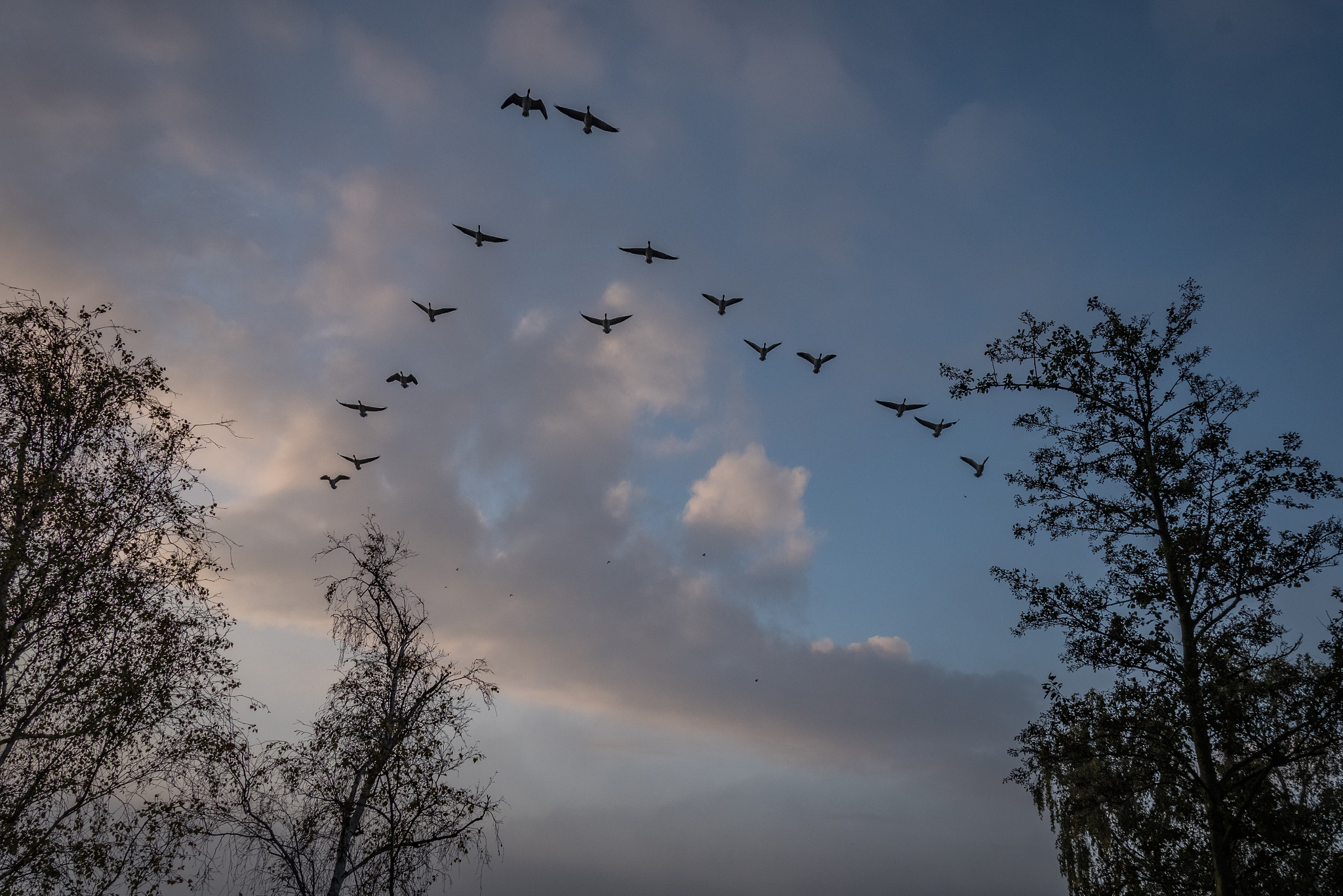 Nikon D500 sample photo. Winter is coming ... photography