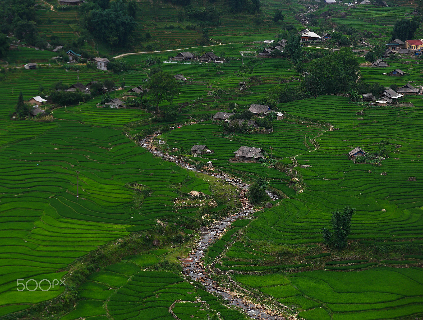 Saumsun NX 16-50mm F2-2.8 S ED OIS sample photo. Life in sa pa, vietnam photography