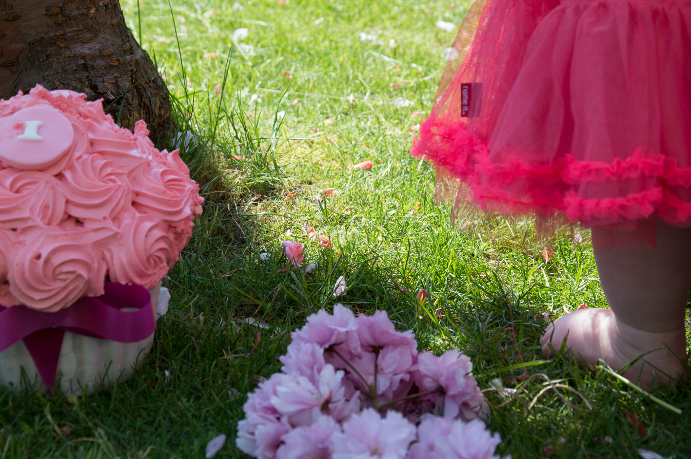 Sigma 28-300mm F3.5-6.3 DG Macro sample photo. Outdoor cake smash photography