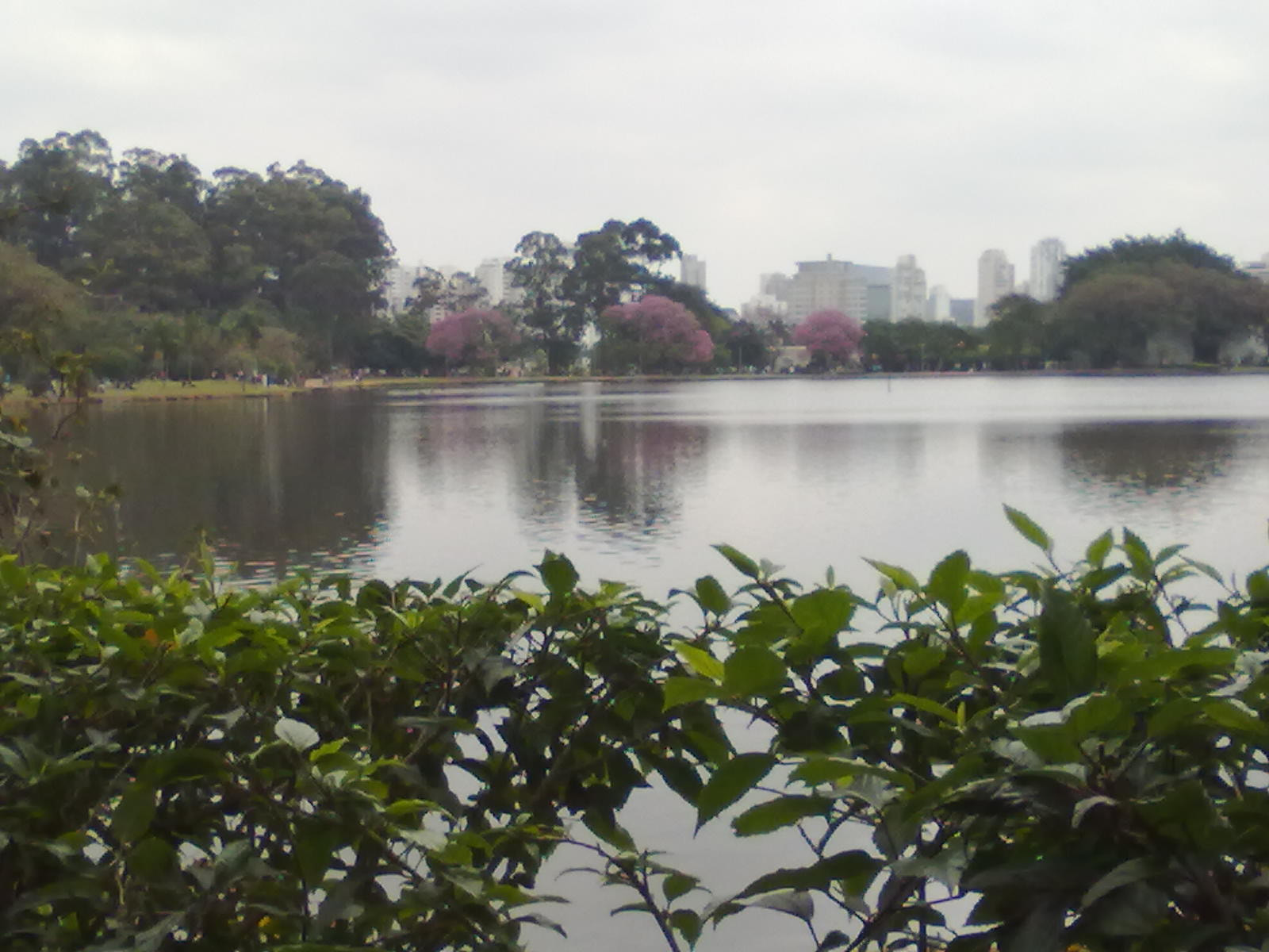 Nokia 5230 sample photo. Parque ibirapuera photography