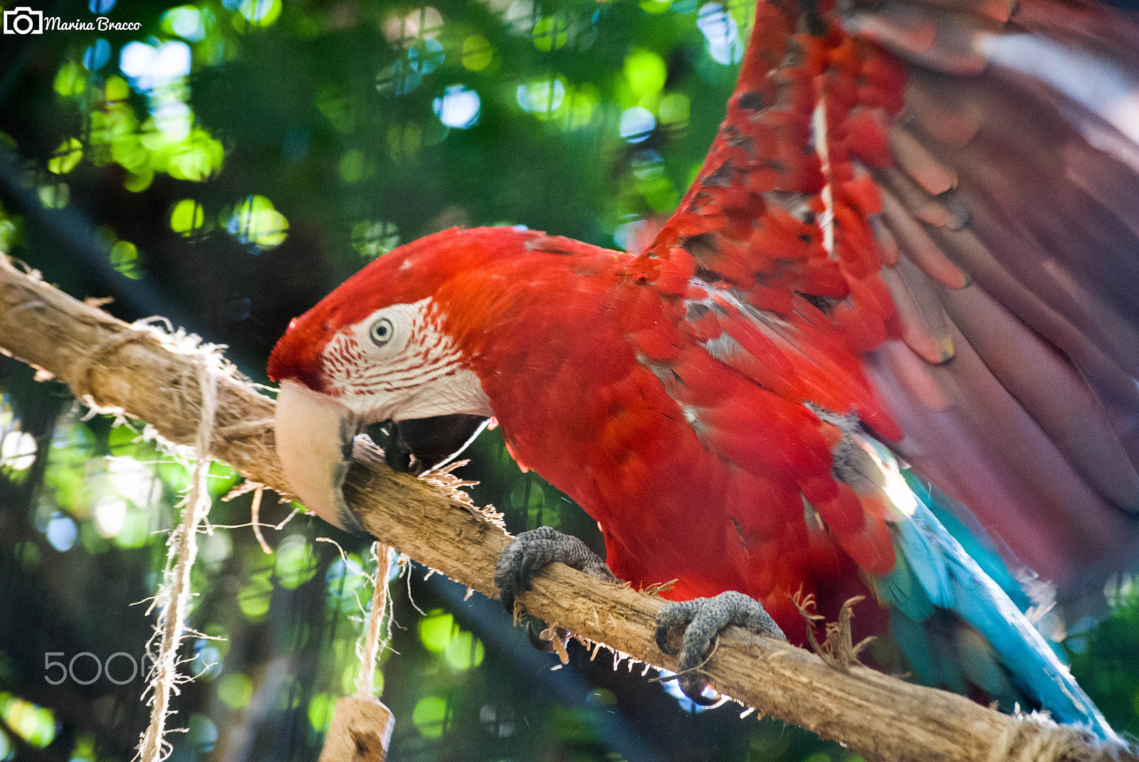 Nikon D3000 sample photo. Colorful photography