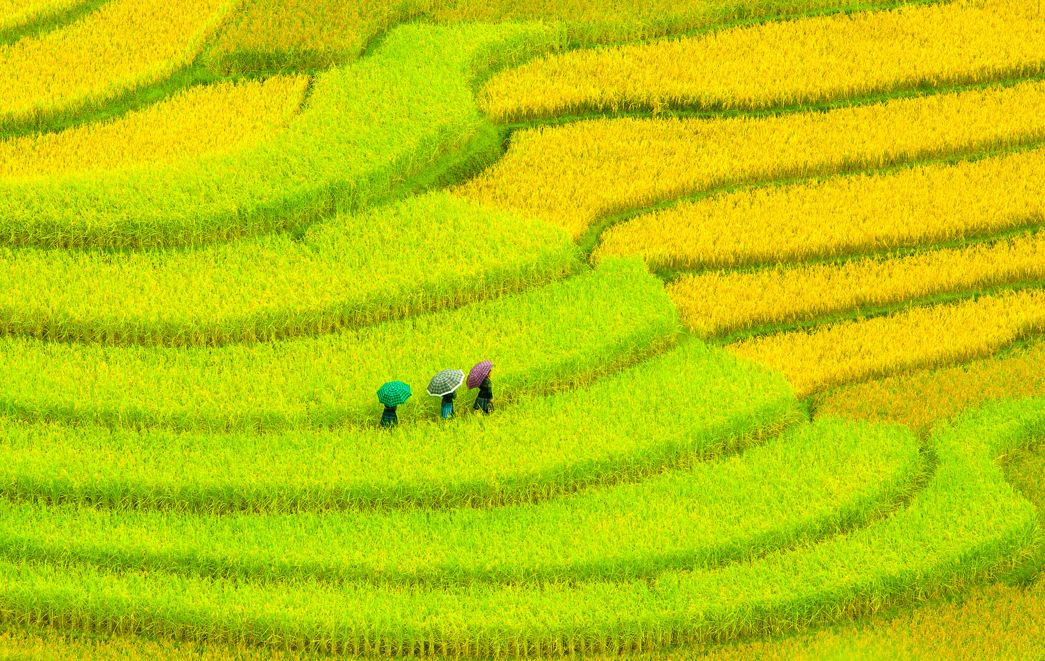 Canon EF 70-200mm F2.8L IS USM sample photo. Vietnam village photography