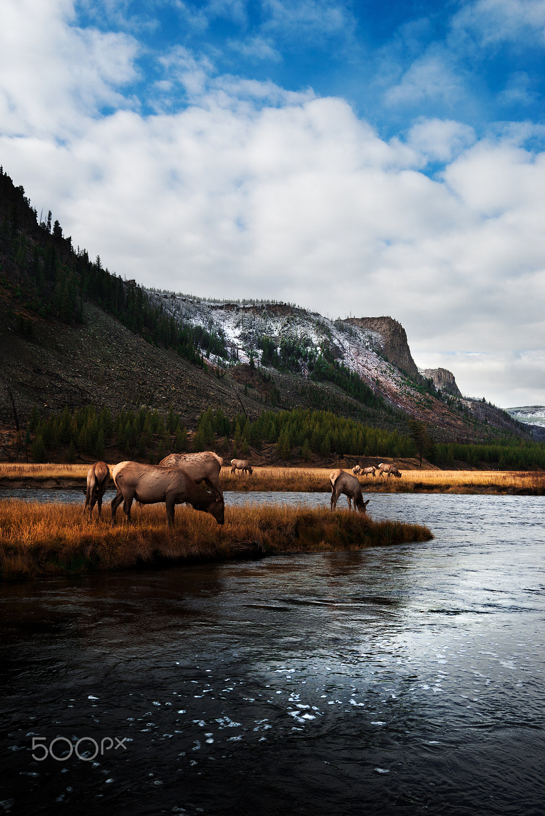 Sony a99 II + Minolta AF 17-35mm F2.8-4 (D) sample photo. Yellowstone photography