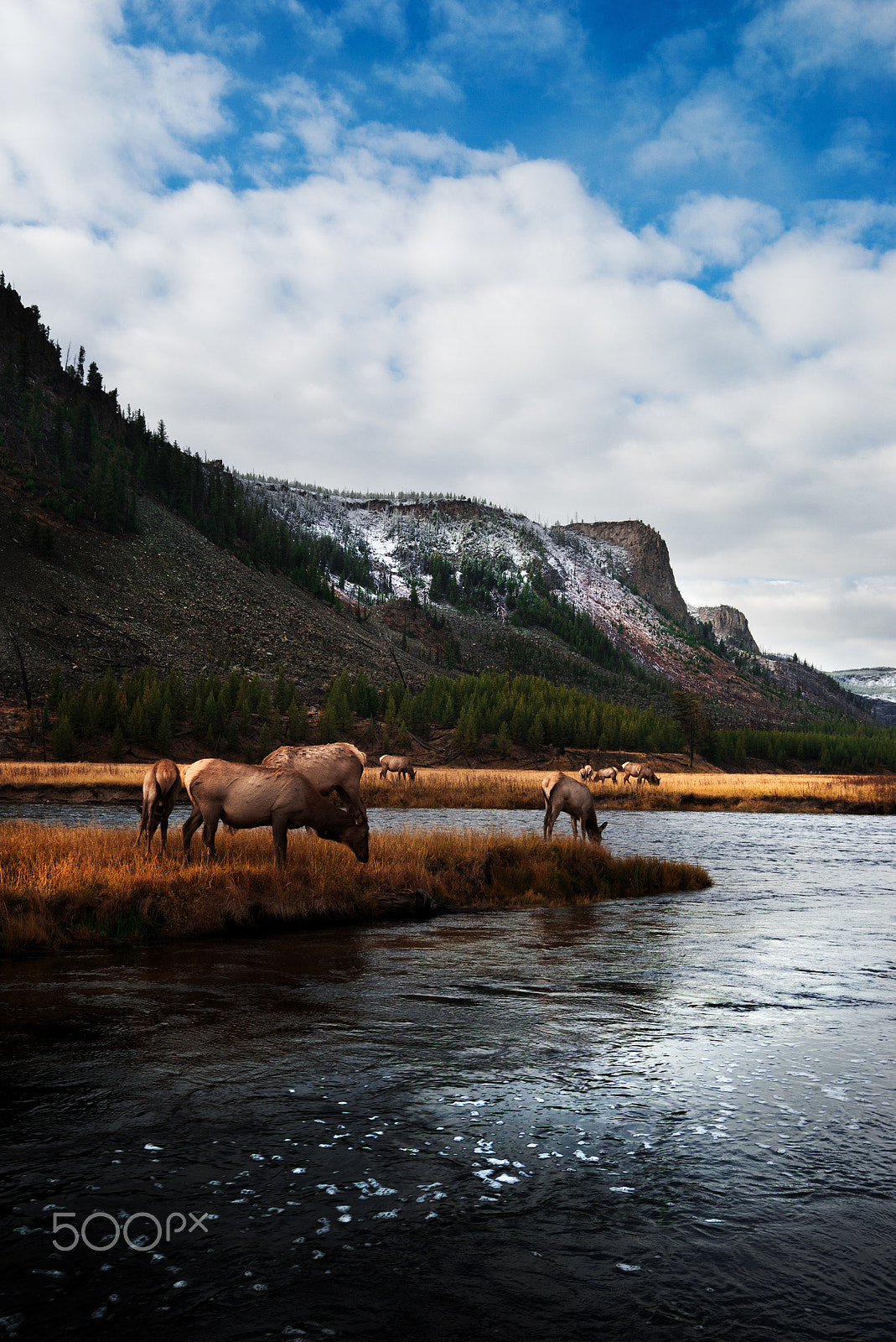 Minolta AF 17-35mm F2.8-4 (D) sample photo. Yellowstone photography