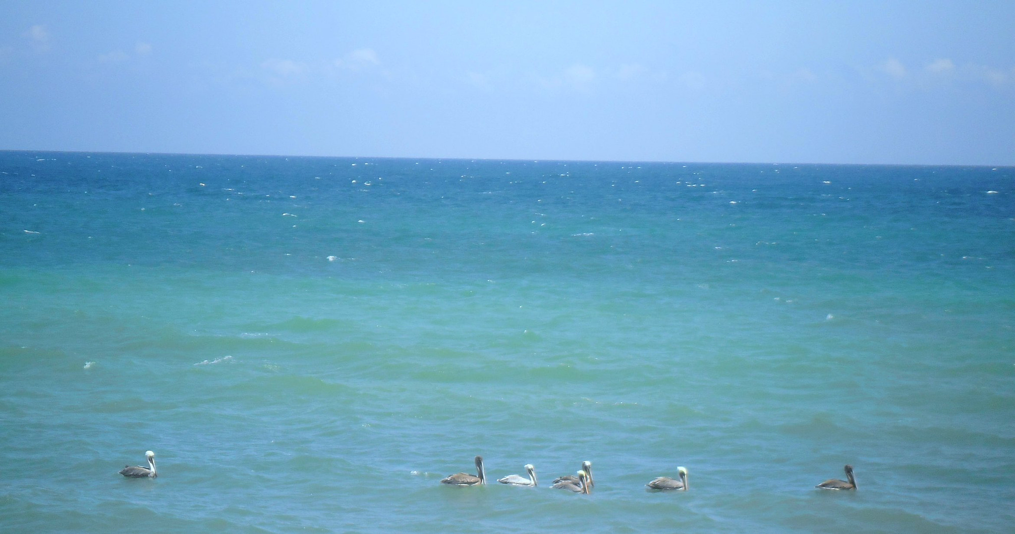 Samsung ES80/ ES81 sample photo. 9721735120.jpg photography