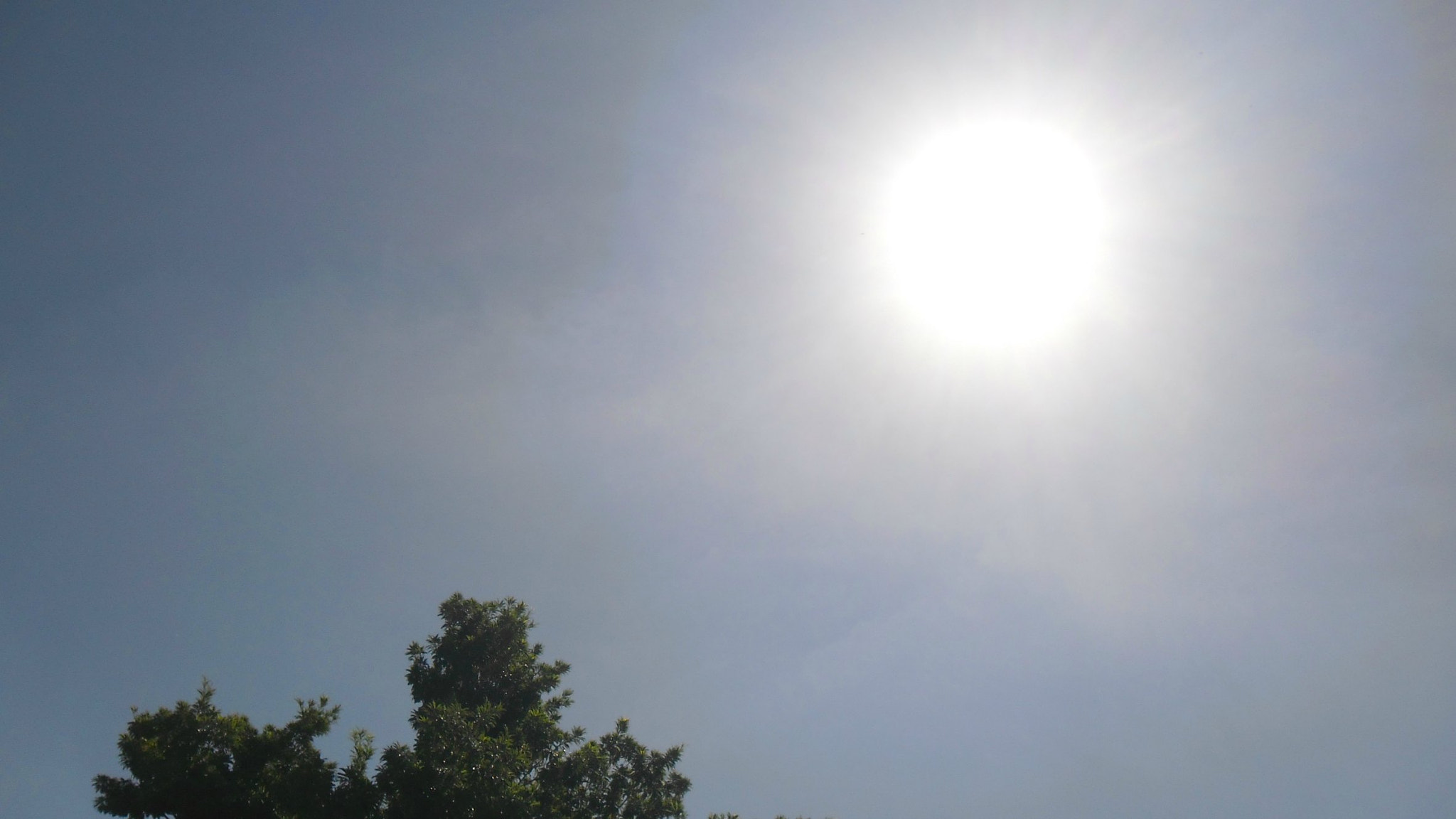 Samsung ES80/ ES81 sample photo. 8700326580.jpg photography