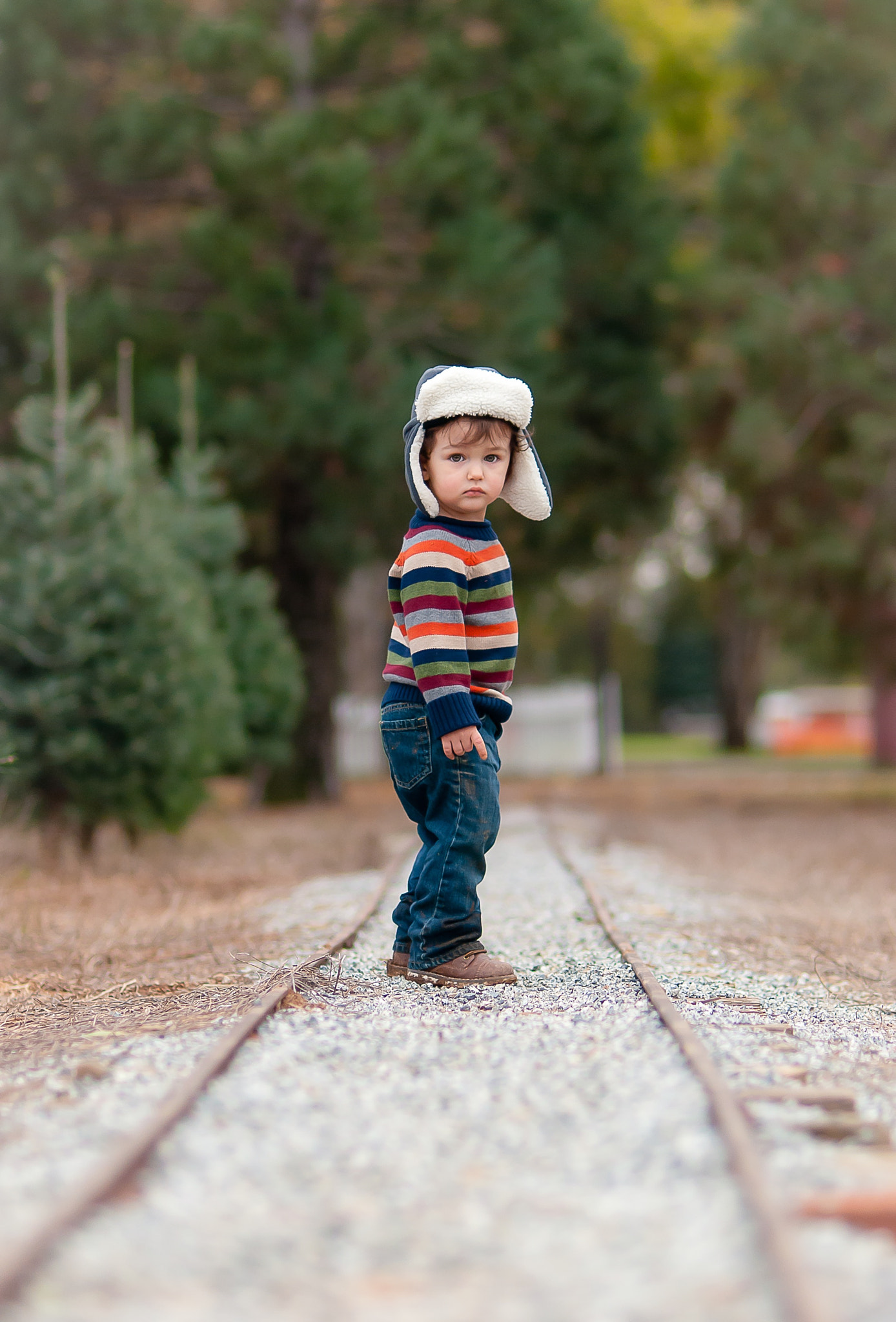 Nikon D80 + AF Nikkor 85mm f/1.8 sample photo. On the tracks photography