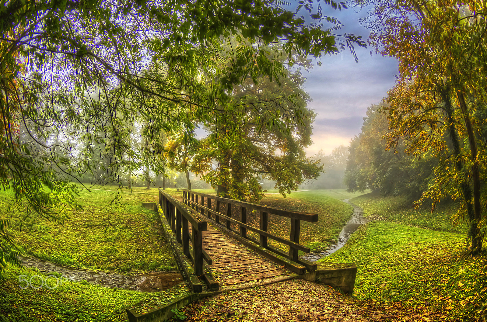 Pentax K-5 sample photo. Foggy autumn morning photography