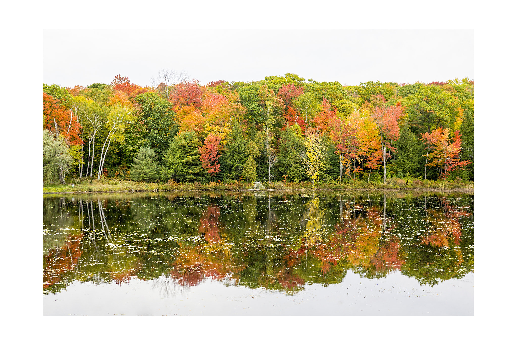 Sony a6000 + Sony FE 28-70mm F3.5-5.6 OSS sample photo. Muskokafull photography