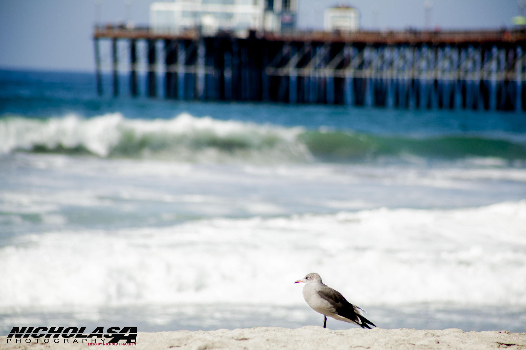 Canon EF 75-300mm f/4-5.6 USM sample photo. Watchguard photography