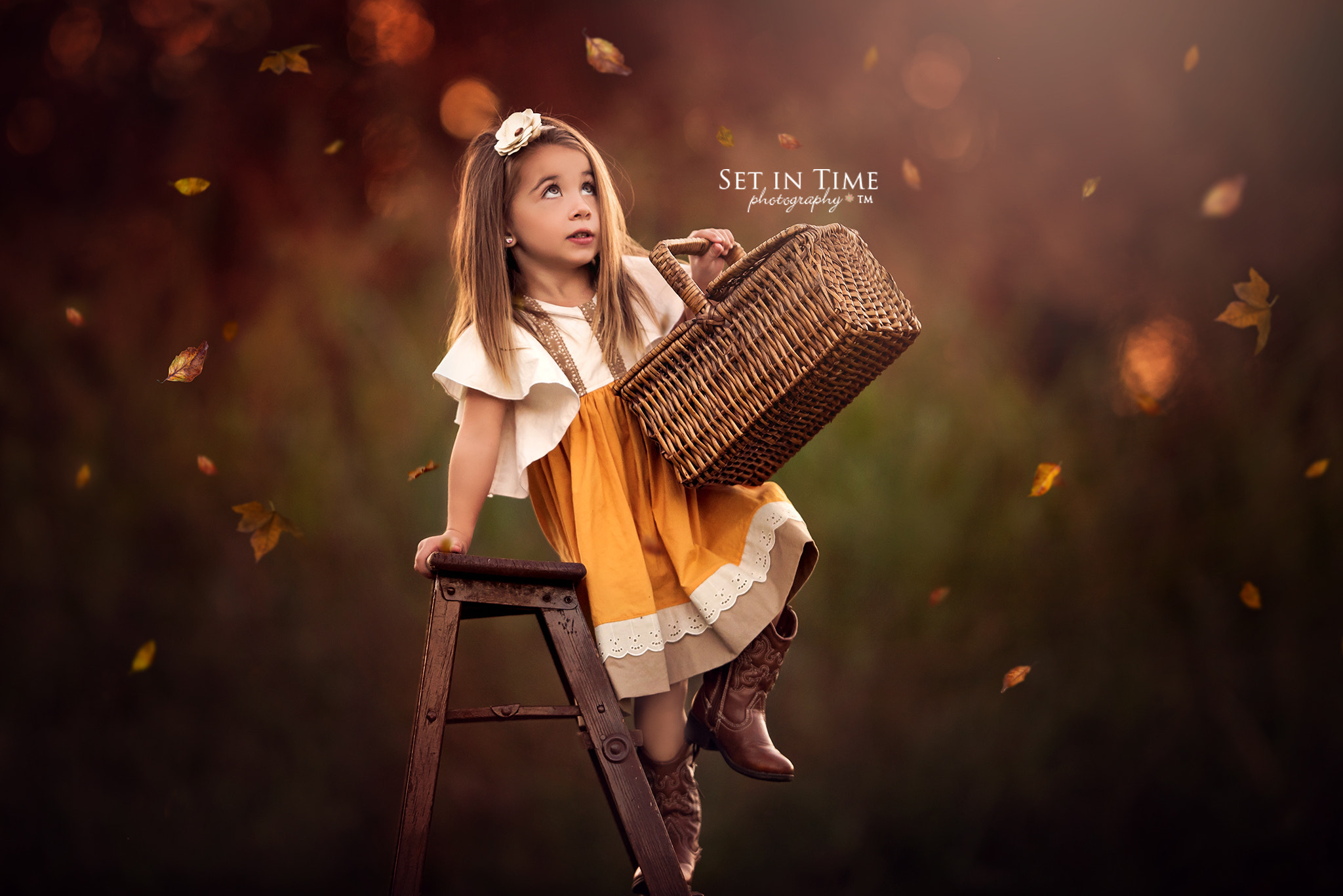 Nikon AF-S Nikkor 200mm F2G ED VR II sample photo. Embracing fall photography