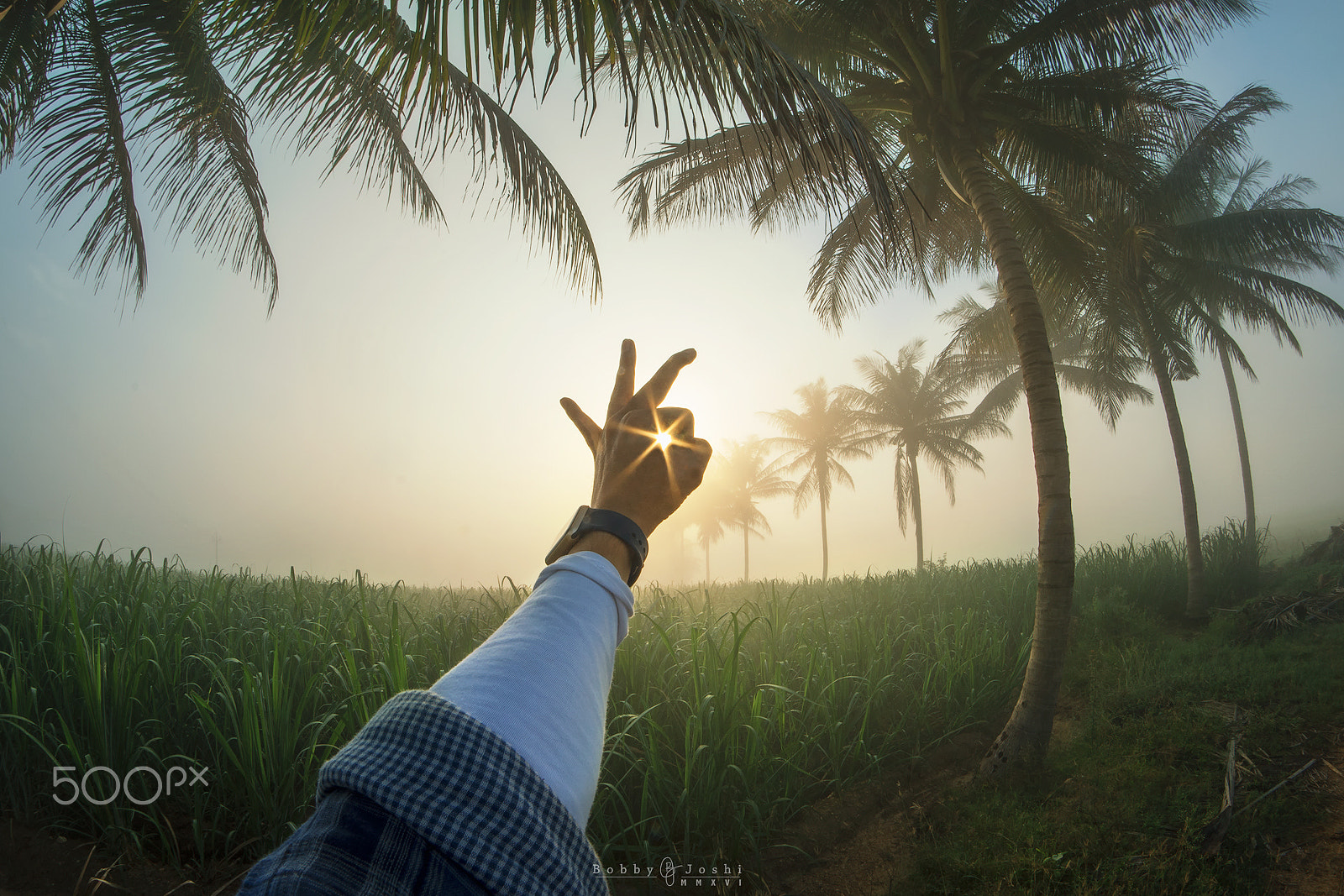 Nikon D810 + Samyang 8mm F3.5 Aspherical IF MC Fisheye sample photo. Goodshotz :-) photography